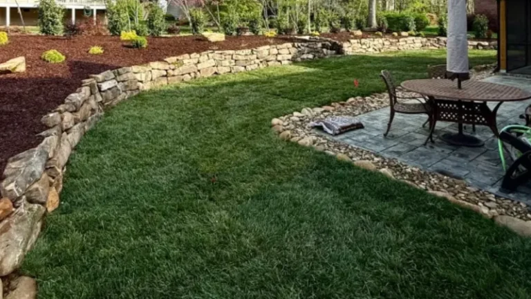 how to fix patchy lawns