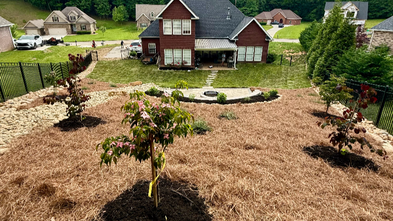 hillside firepit retreat Kahite thumbnail