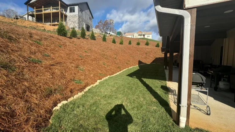 Landscaping steep backyard Lenoir City